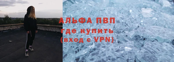 ПСИЛОЦИБИНОВЫЕ ГРИБЫ Вяземский