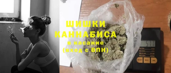 ПСИЛОЦИБИНОВЫЕ ГРИБЫ Вяземский