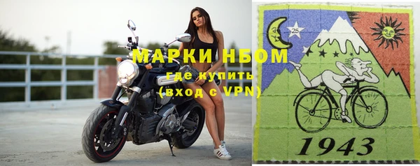 ПСИЛОЦИБИНОВЫЕ ГРИБЫ Вяземский
