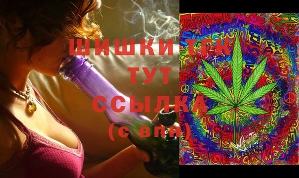 стафф Горняк