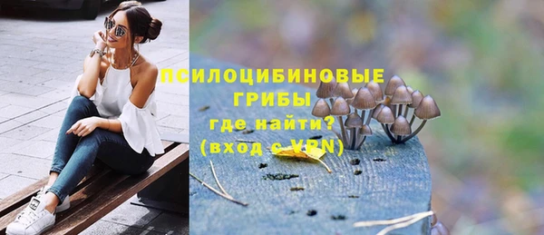 ПСИЛОЦИБИНОВЫЕ ГРИБЫ Вяземский