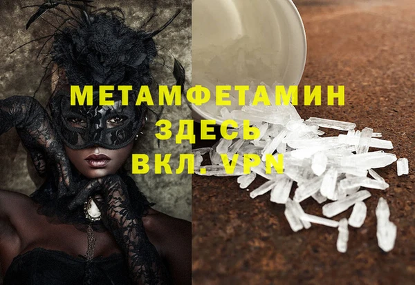 ПСИЛОЦИБИНОВЫЕ ГРИБЫ Вяземский