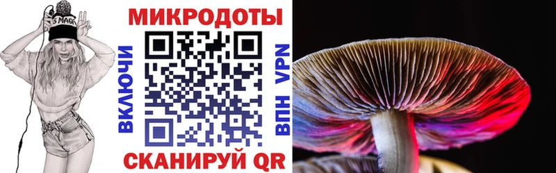 Галлюциногенные грибы Psilocybe  купить наркоту  Очёр 